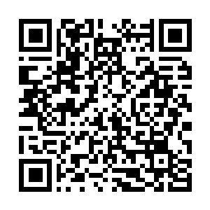 Link to your fundraiser QRCode - Fundraising