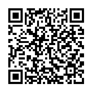 Link to your fundraiser QRCode - Fundraising