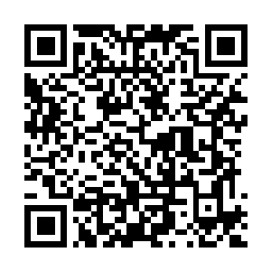 Link to your fundraiser QRCode - Fundraising