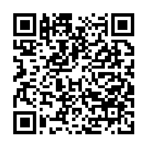 Link to your fundraiser QRCode - Fundraising