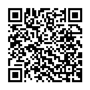 Link to your fundraiser QRCode - Fundraising