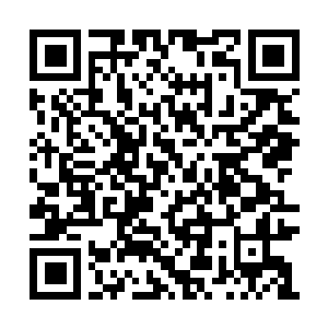 Link to your fundraiser QRCode - Fundraising