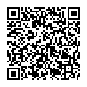Link to your fundraiser QRCode - Fundraising