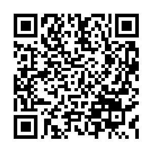 Link to your fundraiser QRCode - Fundraising