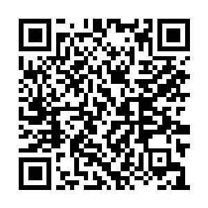 Link to your fundraiser QRCode - Fundraising