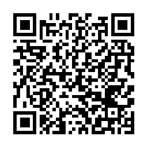 Link to your fundraiser QRCode - Fundraising