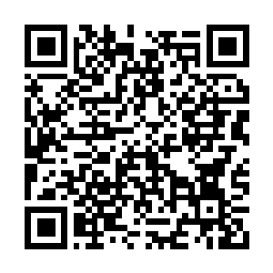 Link to your fundraiser QRCode - Fundraising