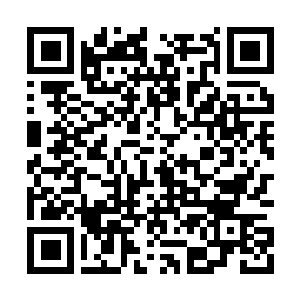 Link to your fundraiser QRCode - Fundraising
