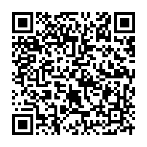 Link to your fundraiser QRCode - Fundraising