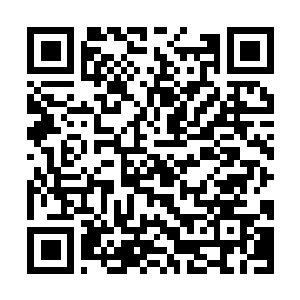 Link to your fundraiser QRCode - Fundraising