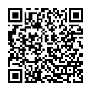 Link to your fundraiser QRCode - Fundraising