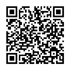 Link to your fundraiser QRCode - Fundraising