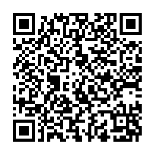 Link to your fundraiser QRCode - Fundraising