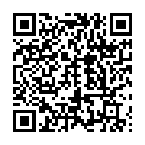 Link to your fundraiser QRCode - Fundraising
