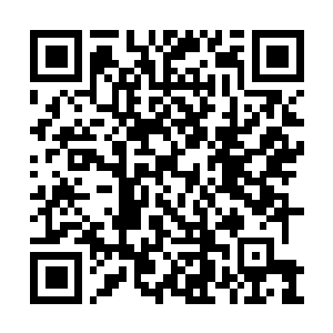 Link to your fundraiser QRCode - Fundraising