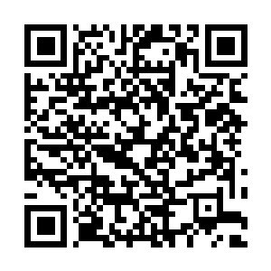 Link to your fundraiser QRCode - Fundraising