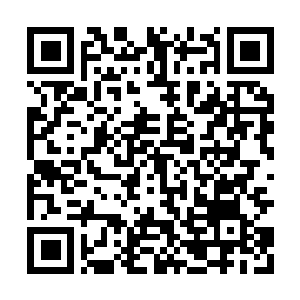 Link to your fundraiser QRCode - Fundraising