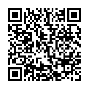 Link to your fundraiser QRCode - Fundraising