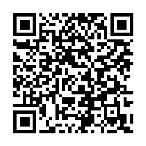 Link to your fundraiser QRCode - Fundraising