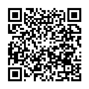 Link to your fundraiser QRCode - Fundraising