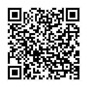Link to your fundraiser QRCode - Fundraising