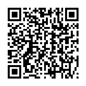 Link to your fundraiser QRCode - Fundraising