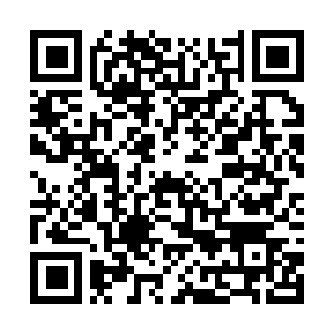 Link to your fundraiser QRCode - Fundraising