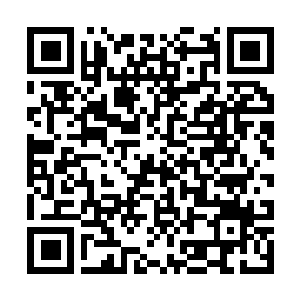 Link to your fundraiser QRCode - Fundraising