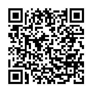 Link to your fundraiser QRCode - Fundraising