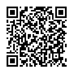 Link to your fundraiser QRCode - Fundraising