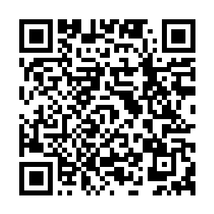 Link to your fundraiser QRCode - Fundraising