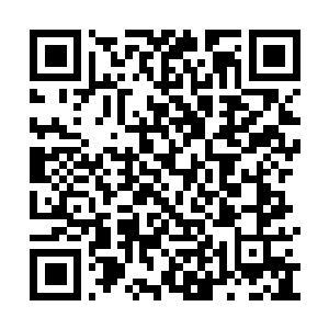Link to your fundraiser QRCode - Fundraising