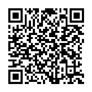 Link to your fundraiser QRCode - Fundraising