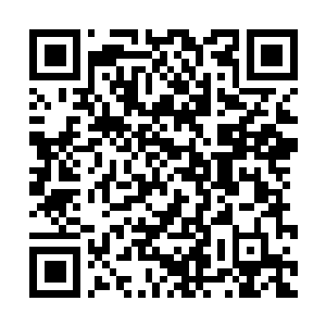 Link to your fundraiser QRCode - Fundraising