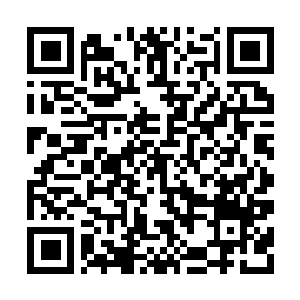 Link to your fundraiser QRCode - Fundraising