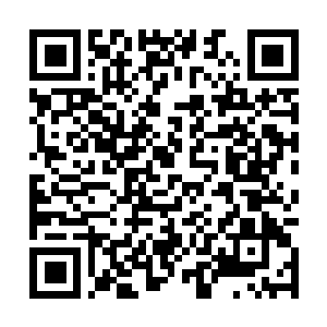 Link to your fundraiser QRCode - Fundraising