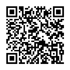 Link to your fundraiser QRCode - Fundraising