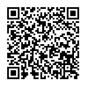 Link to your fundraiser QRCode - Fundraising