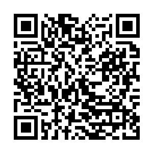 Link to your fundraiser QRCode - Fundraising
