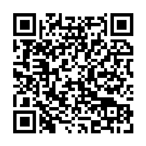 Link to your fundraiser QRCode - Fundraising