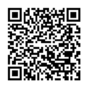 Link to your fundraiser QRCode - Fundraising