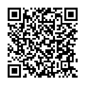 Link to your fundraiser QRCode - Fundraising
