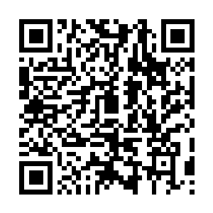 Link to your fundraiser QRCode - Fundraising