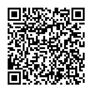 Link to your fundraiser QRCode - Fundraising