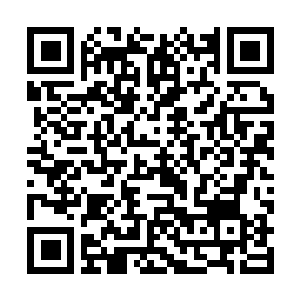 Link to your fundraiser QRCode - Fundraising