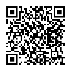 Link to your fundraiser QRCode - Fundraising