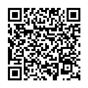 Link to your fundraiser QRCode - Fundraising