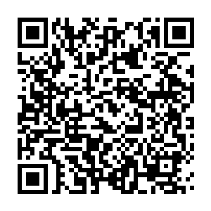 Link to your fundraiser QRCode - Fundraising