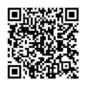 Link to your fundraiser QRCode - Fundraising