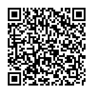 Link to your fundraiser QRCode - Fundraising